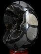 Septarian Dragon Egg Geode - Crystal Filled #37381-1